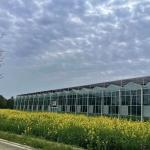 Customized Request for Drip Irrigation Glass Greenhouse Commercial Greenhouse