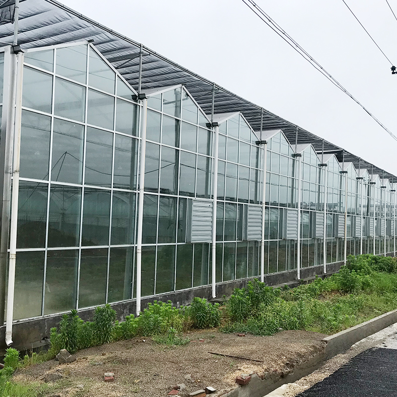 Full Set of Agricultural Greenhouses with Galvanized Skeleton and Easy to Install