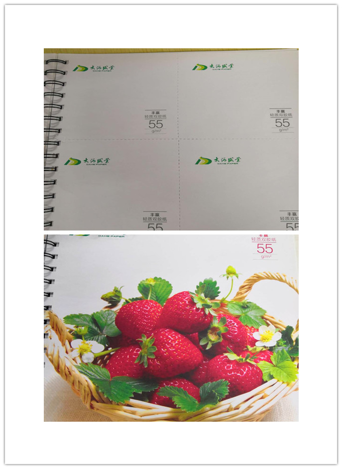 110*68*12mm Gloss/Matte Art Paper 2/S Coated for Offset Printing and Long-lasting