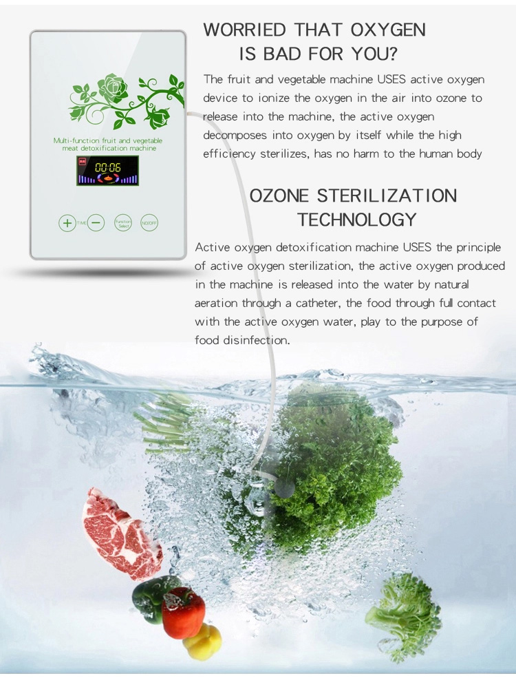 Homefish Glass Panel Portable Fruit Vegetable Sterilizing Intelligent Multifunction Machine 400mg/h Ozone Generator for Kitchen