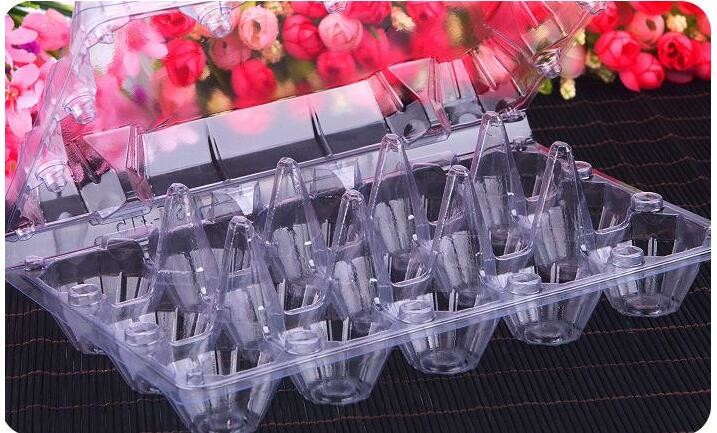 Meal Prep Containers Free Sample Bento Lunch Box Biodegradable Food Container Plastic Wheat Straw Lunch Box bagplastics