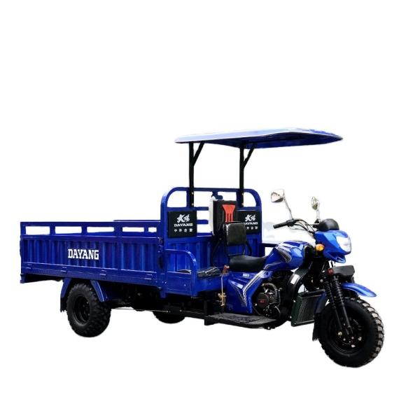 2021 Design Strong Engineering 300cc Gasoline Tricycle Scooter for Heavy Cargo