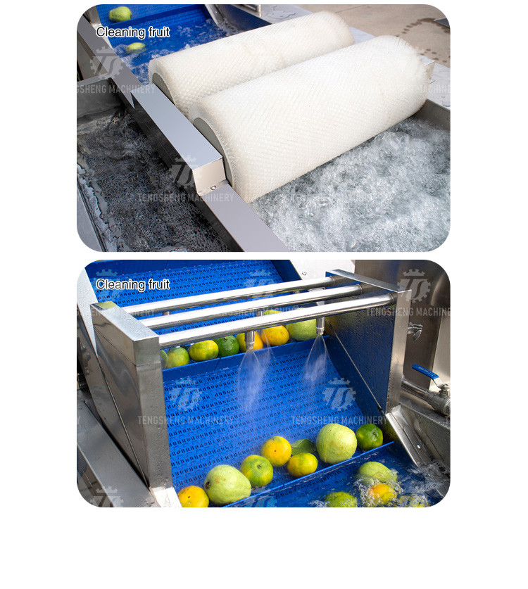 250KG The manufacturer provides a reversible air dryer for fruit ozone disinfection and fruit washing machine