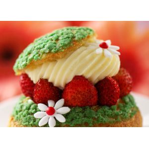 Cookie baking Anti Fogging Agent Distilled Monoglyceride E471 Emulsifiers