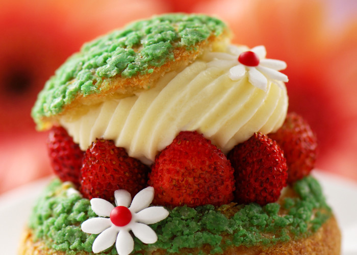 Food Emulsifier for Ice-Cream, Bread E475 / Finamul PGE Polyglycerol Esters Powder 20kg Carton Packaging