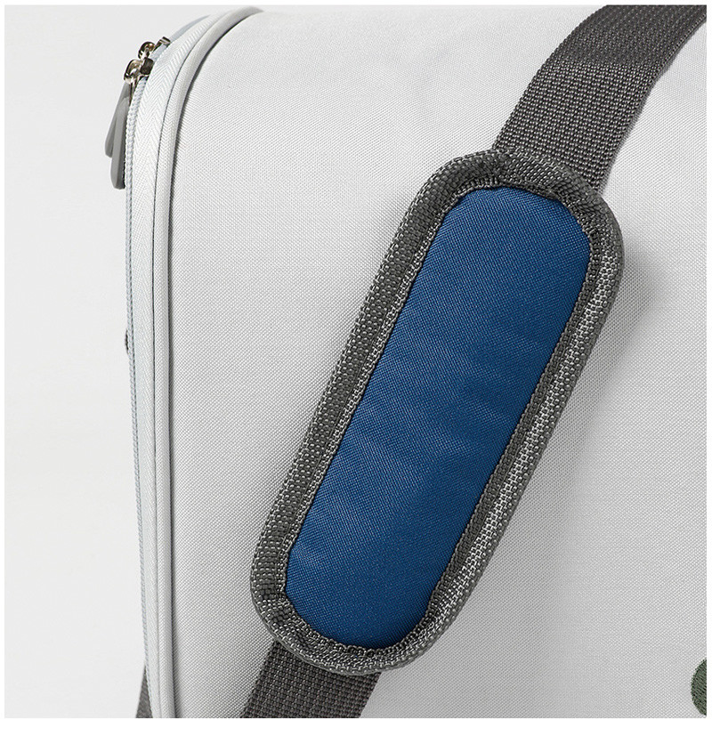 Portable Waterproof Insulated Eco Picnic Cooler Bag