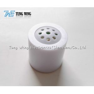 ABS Plastic Push Sound Module With Customized Sound , Voice, Melody