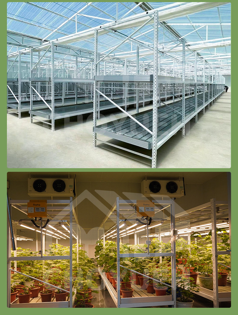 Construction Irrigation Holding Stands Intelligent Home Hydroponic Lettuce Aquaphonics Growing System