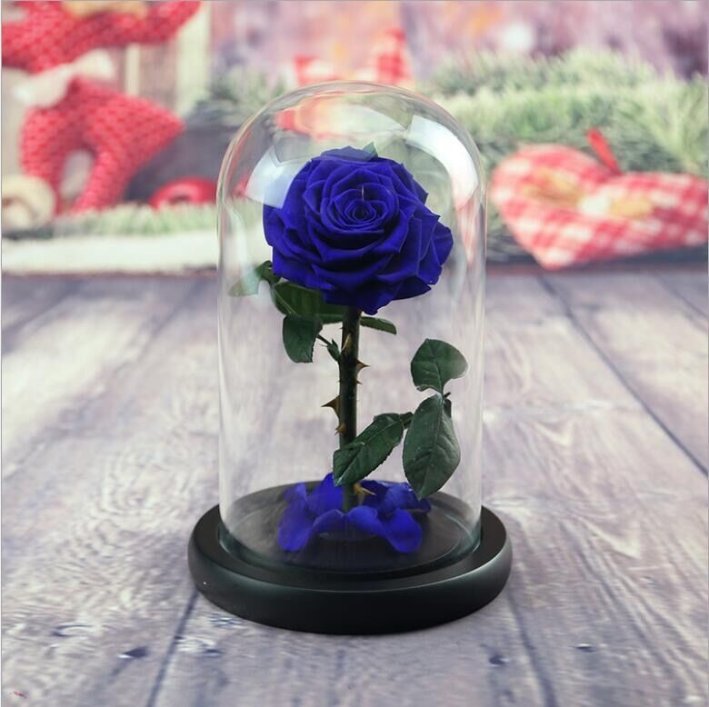 Preserved Fresh Flower Live Enchanted Rose in Glass Dome Cover with Gift Box Forever Real Rose Everlasting Flower