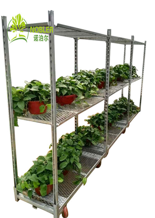Greenhouse Light Duty Rolling Dutch Metal Flower Trolleys Hot Galvanized