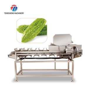 150KG 2.05KW Automatic fruit and vegetable segmentation machine stainless steel vegetable and fruit cutting machine Manufactures