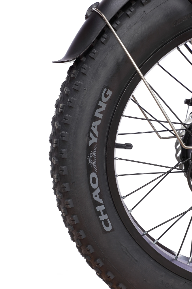 Kids 20 Inch Electric Fat Tire Bike Hidden Battery 48V 500W Step Through Fat Tire Ebike