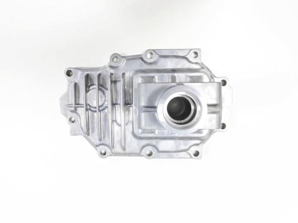 Customized Aluminum Alloy High Pressure Casting Drive Shaft Cover For Motorcylce