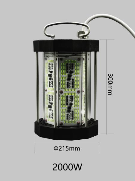 Powerful 2000W Best LED Fishing Light For Deep Sea , Waterproof Fishing Light