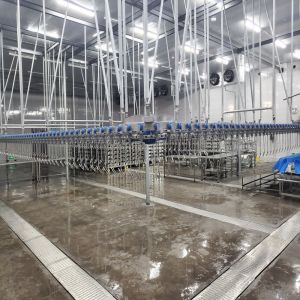 4000KG Automatic Slaughtering Machine Chicken Poultry Slaughter Line SS 304