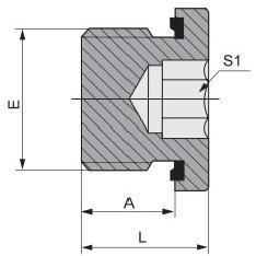 High Pressure Hydraulic Tube Fittings Metric Male Captive Seal Hollow Plug 4mn-Wd with Good Price