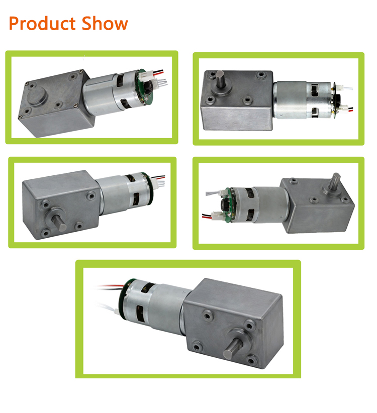 Synchronous High Torque Dc Motor Customizable 300W Waterproof
