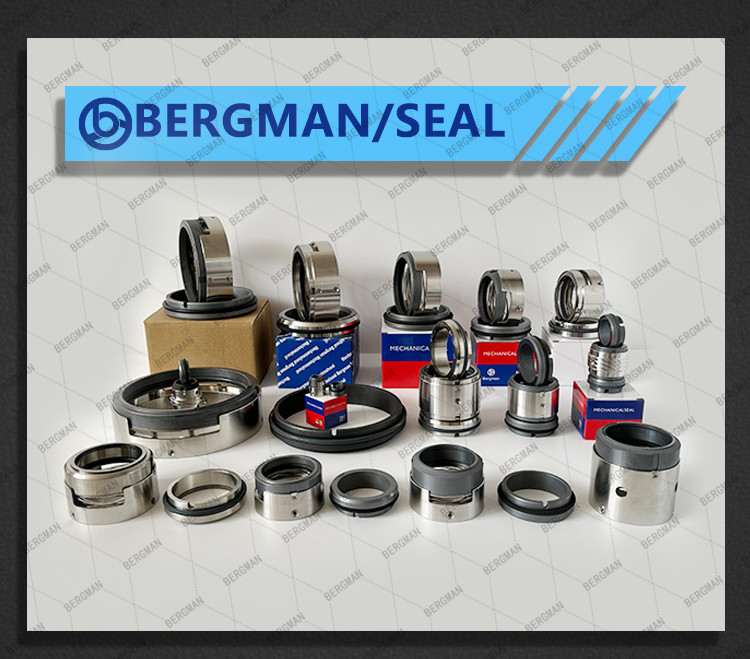 BERGMAN 58U 59U 14mm-100mm G60 G4 G6 G9 G13 G16 BS Bo BP Pump Mechanical Seal