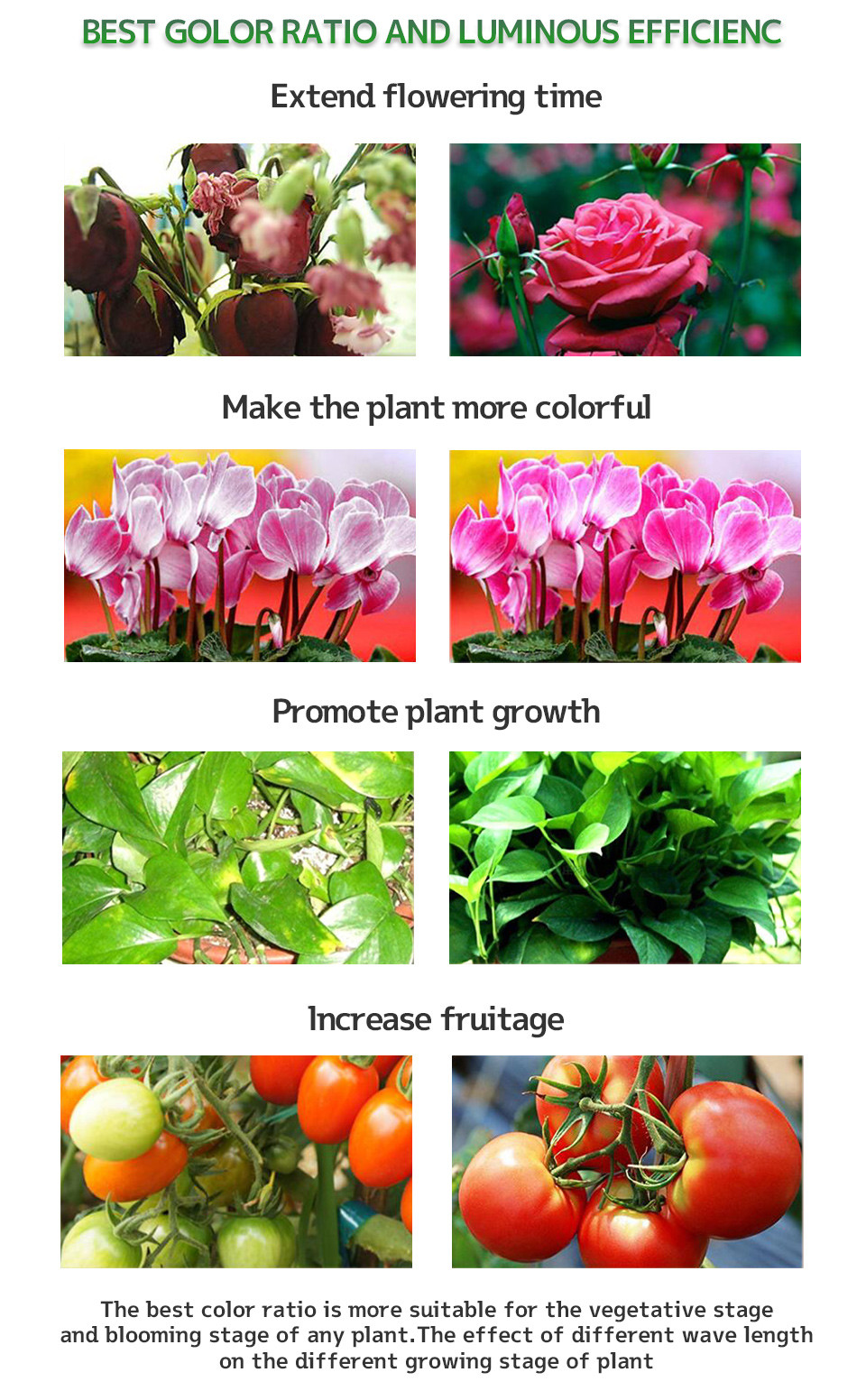 Energy Saving Full Spectrum Led Grow Lights Board 50W Voltage 110V