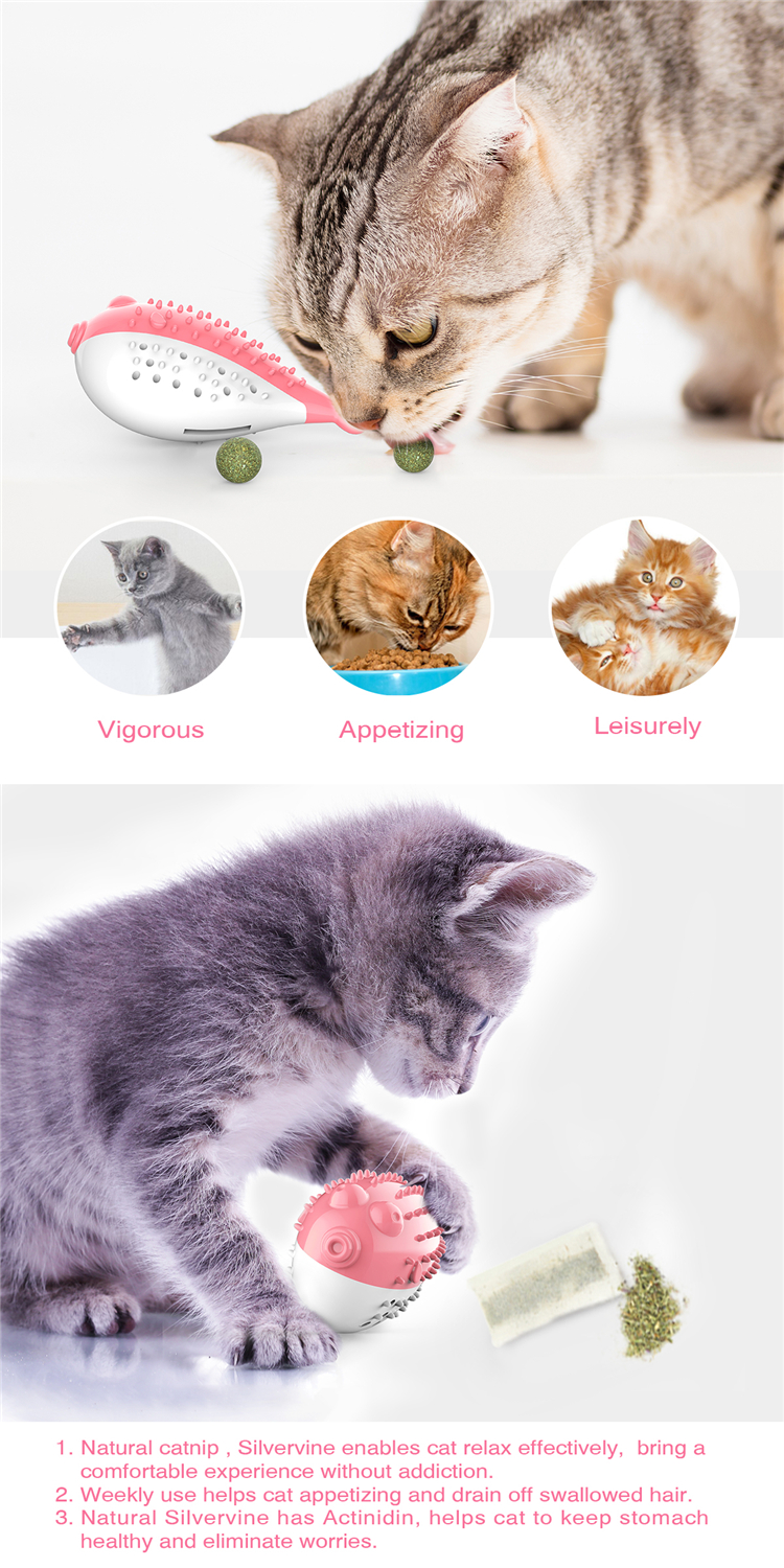 New Cute Pet Cat Toothbrush Toy Catnip Flavor Silicone Simulation Fish Molar Stick Tooth Cleaning Toy Toothbrush