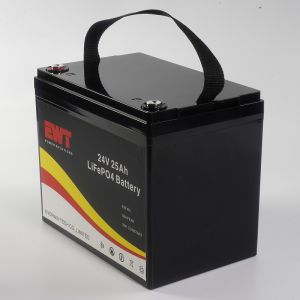 Built-in BMS 24V Lithium Iron Phosphate Battery with 3C Discharging Rate and 20A