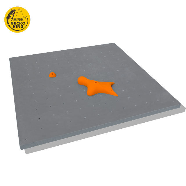 IFSC Standard Rock Climbing Wall Panel For Gym Improve Climbing Skills