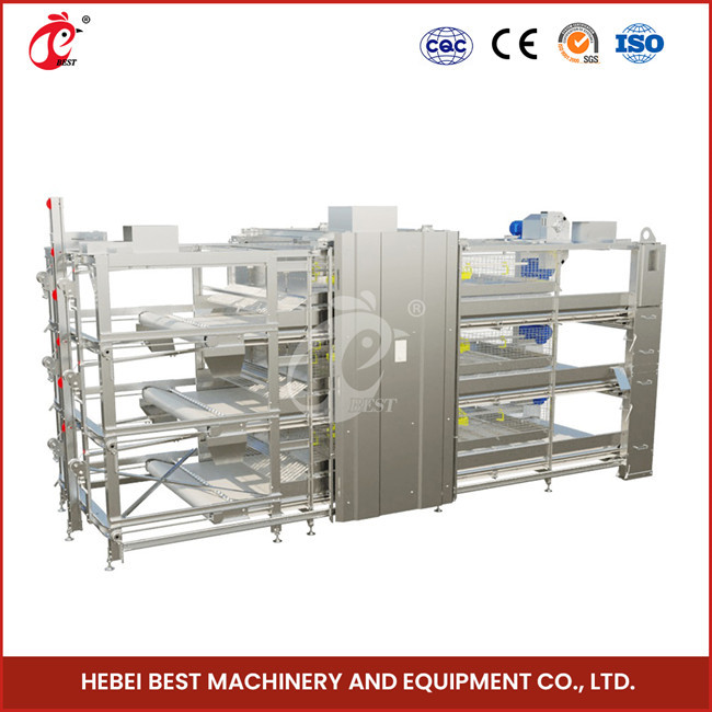 208 Chicks Battery Type Breeding Cage 1200mm Length With Automatic System Emily