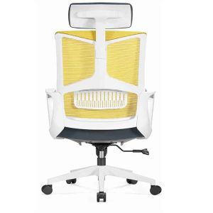 Ergonomic Desk Chair Mesh Computer Chair with Lumbar Support Adjustable Headrest