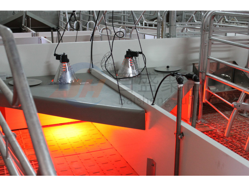 High Tolerance Pig Farrowing Crates for Customized Agricultural Livestock Equipment