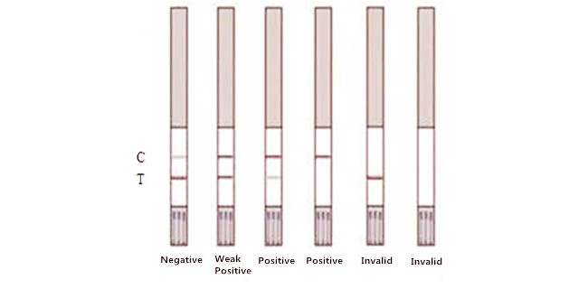 0.5ppb Sensitivity Mycotoxin Test Strips For Fresh Milk Powder Aflatoxin M1 Rapid Test Kit
