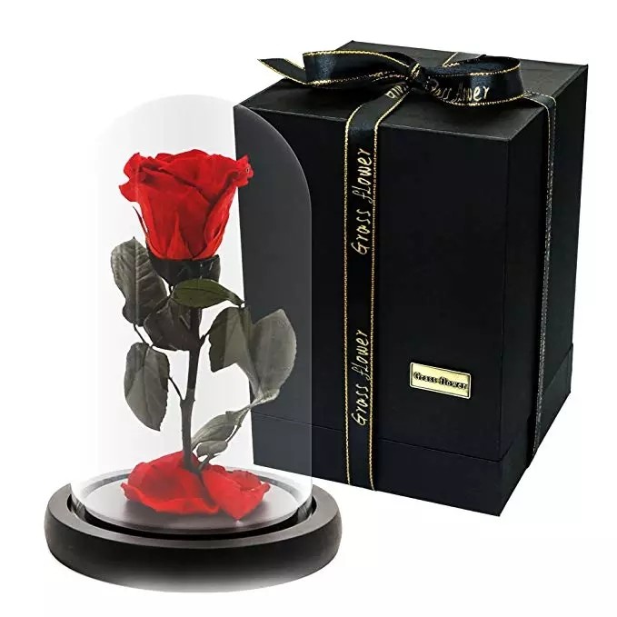 Wholesale Forever Roses preserved roses in glass dome Fresh flower rose Christmas Decorations