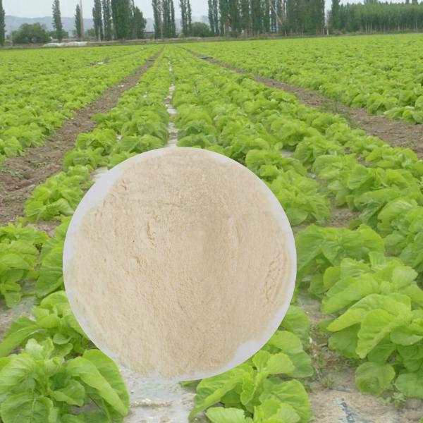 Chelated Calcium Magnesium Organic Foliar Spray Fertilizer Longer Fruit Shelf