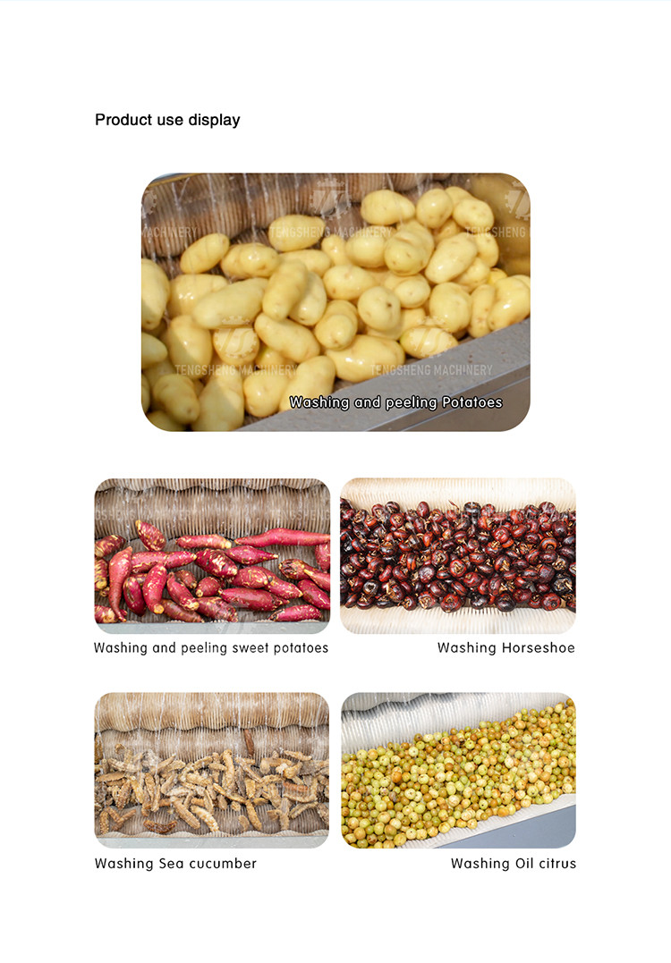 180KG Small automatic ginger washing machine potato cleaning and peeling machine ginger cleaning and mud removal machine