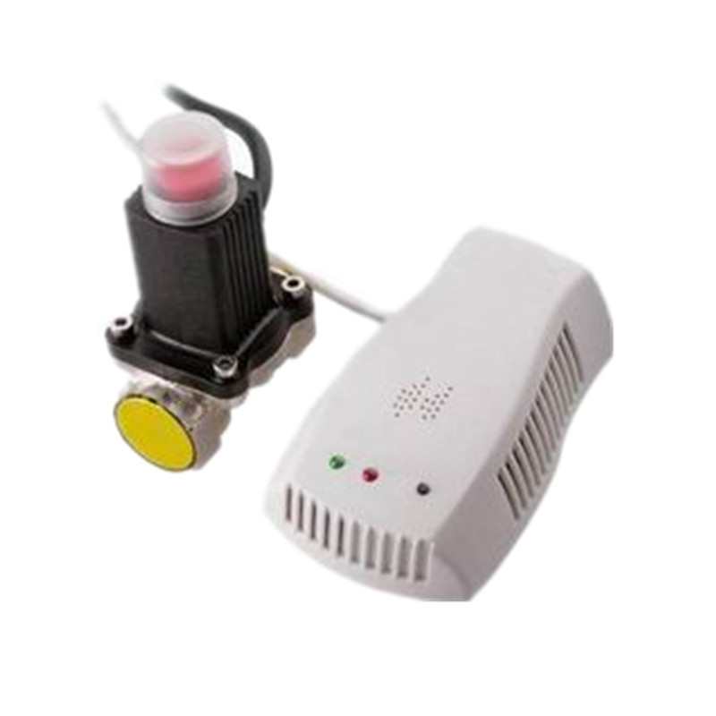 European Plug Domestic Gas Detector Smart Alarm With Gas Electromeganetic Valve