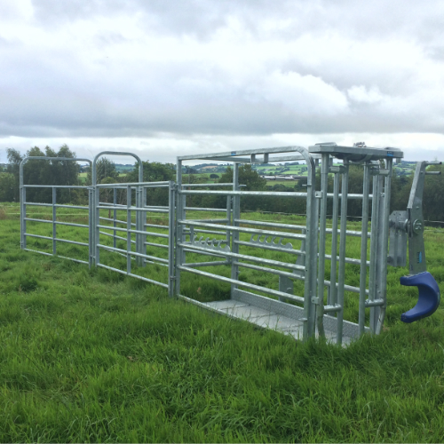 Cattle Crush / Hot Dipped Galvanized