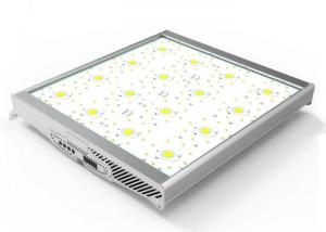 China High Power Greenhouse Grow Lights 800W , LED Grow Lights For Indoor Gardening COB Lamp on sale
