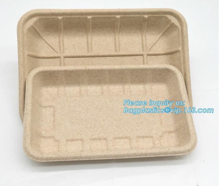 Meal Prep Containers Free Sample Bento Lunch Box Biodegradable Food Container Plastic Wheat Straw Lunch Box bagplastics