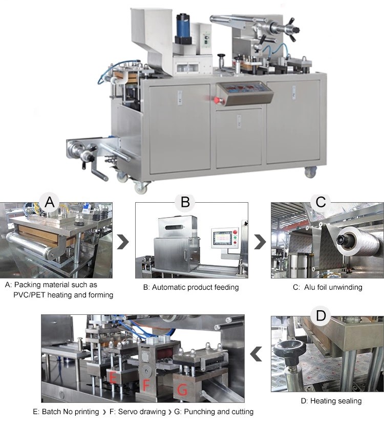 Automatic Small Alu/PVC Flat Plate Blister Packing Machine For Tablet Capsule