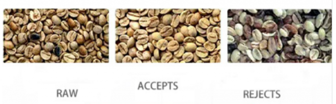 CSG Soybean Coffee Bean Mung Beans Color Sorter High Resolution 1