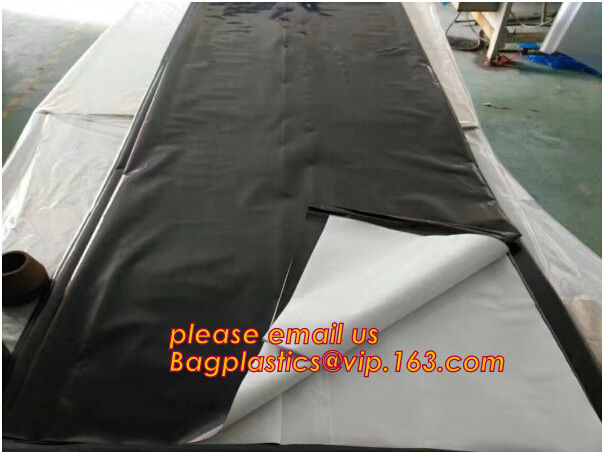 Multi-Span Plastic Film Cover Natural Ventilation Vegetable Greenhouse,Greenhouse Kits Plastic Greenhouse 200 micron gre