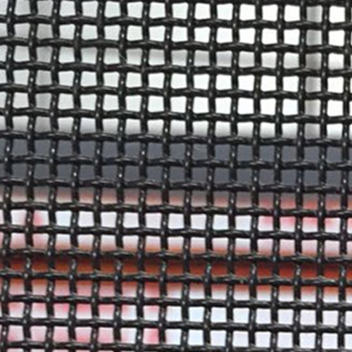 Black Fly Screen Insect Net Window Transparent Screen