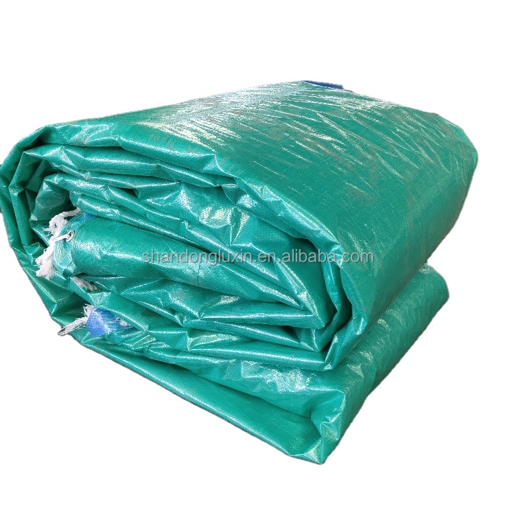 Waterproof Heavy Duty PE Tarpaulin 100% Virgin PE Tarpaulin with Printed Performance