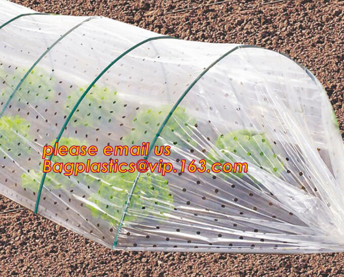 Multi-Span Plastic Film Cover Natural Ventilation Vegetable Greenhouse,Greenhouse Kits Plastic Greenhouse 200 micron gre