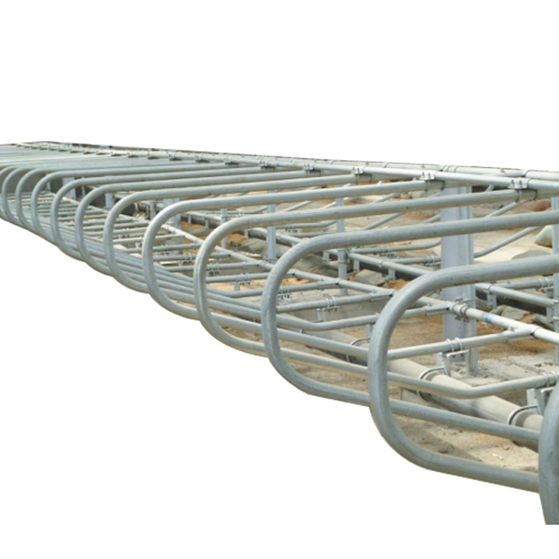Customized BioRail Hot-Dipped Galvanized Dairy Cattle Freestands