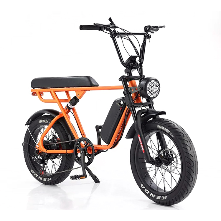 Custom 48V 1000W Electric Bike 20 Inch Fat Tire Ebike With And 52V Lithium Battery Charger
