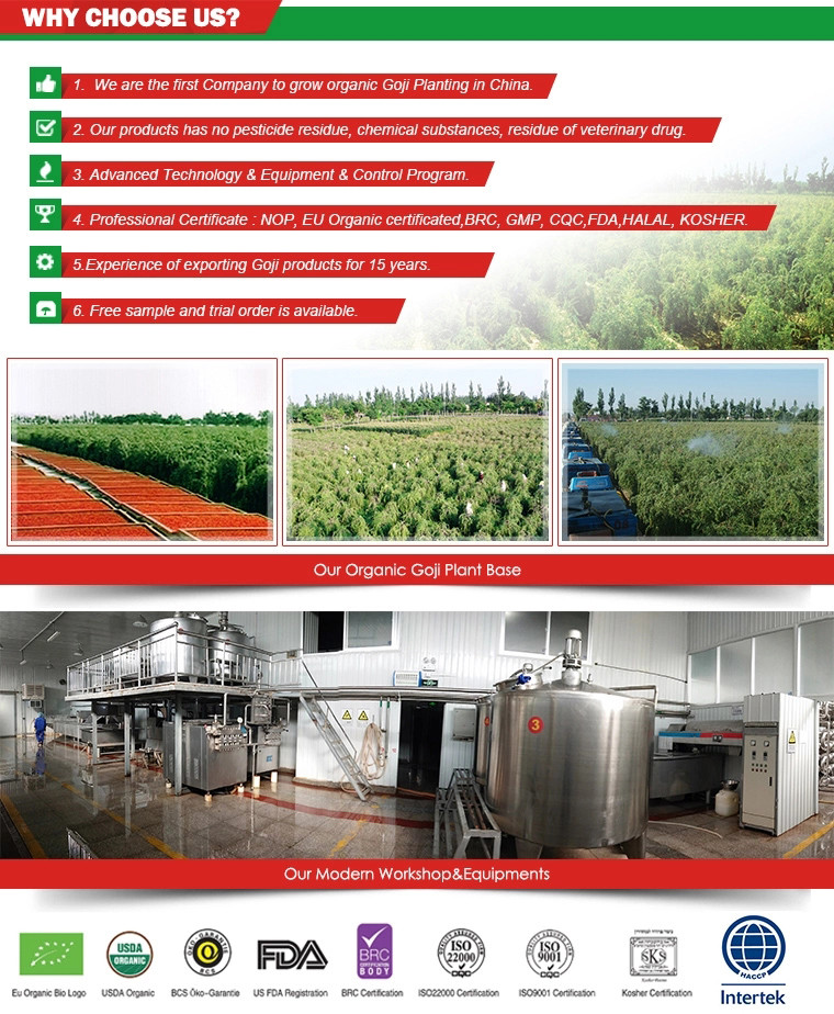 NOP EU Certified Organic Goji juice concentrate 100% goji berry juice concentrate the lycium chinese of ningxia