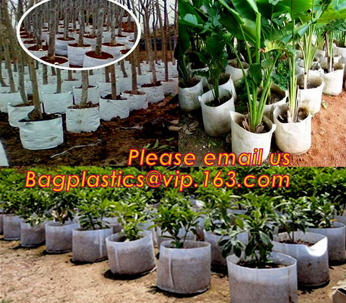 Eco Friendly Biodegradable Garden Bags Felt Wall Planter Felt Grow