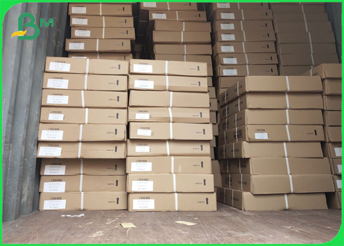 24inch 35inch White Uncoated Wide Format Paper Rolls For CAD Plotter Printing