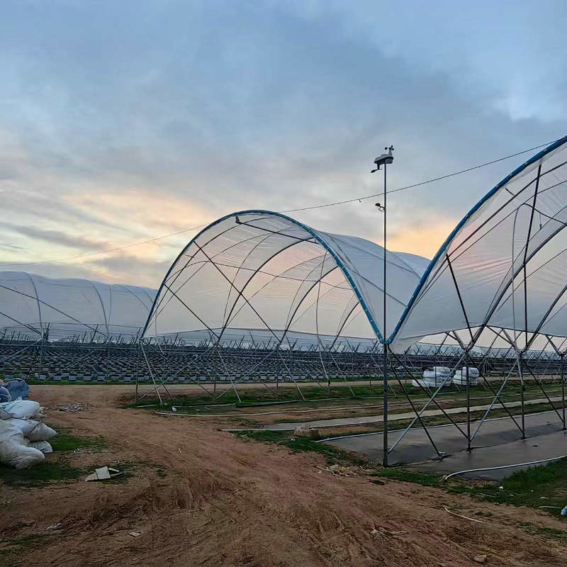 Good Quality Poly Tunnel Green House Low Cost Hot Sale Polytunnel Berry Greenhouse