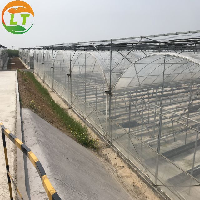 Ventilation Vents for 150/200micro PE Film Covered Greenhouse on Poultry Farm